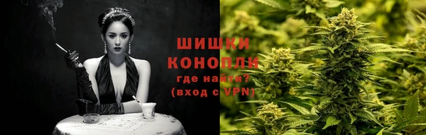 стаф Богданович