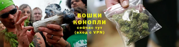 apvp Белокуриха