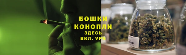 PSILOCYBIN Богородск