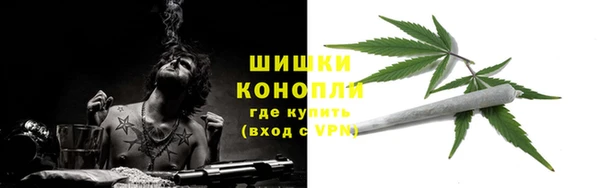 PSILOCYBIN Богородск