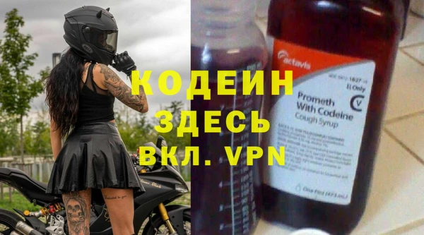 стаф Богданович