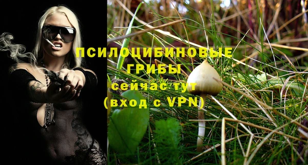 apvp Белокуриха