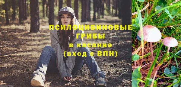 прущие крисы Беломорск