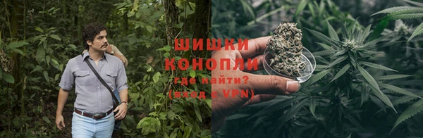 PSILOCYBIN Богородск