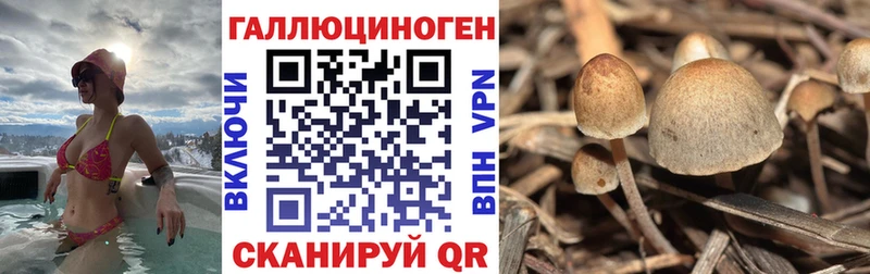 Галлюциногенные грибы MAGIC MUSHROOMS Неман